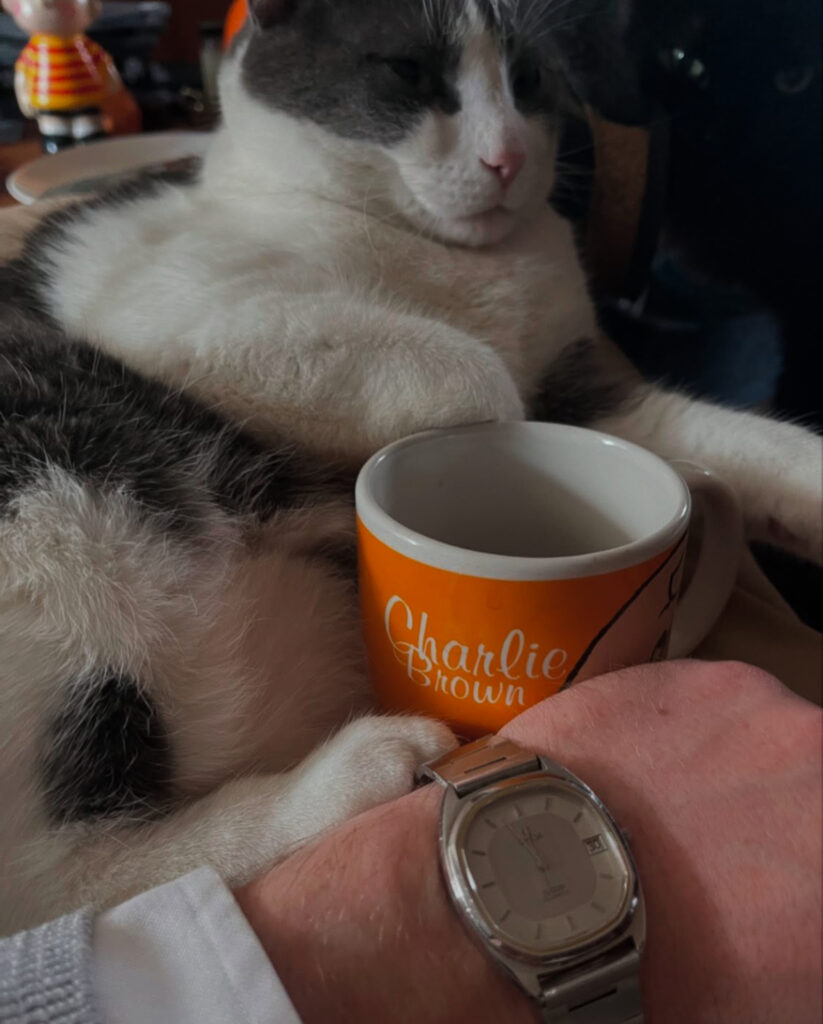 A cat, a wristwatch, and a Charlie Brown mug.